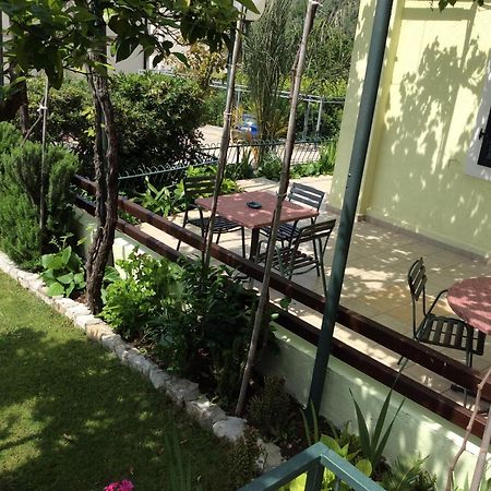 Apartments Simo Petrovac Zewnętrze zdjęcie