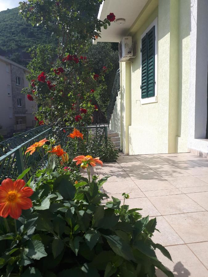 Apartments Simo Petrovac Zewnętrze zdjęcie