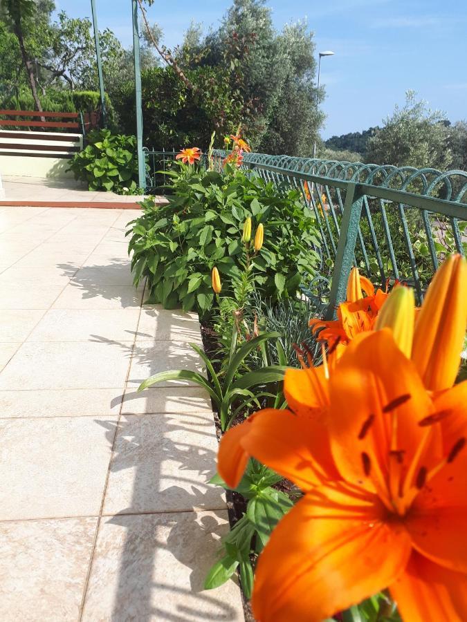 Apartments Simo Petrovac Zewnętrze zdjęcie