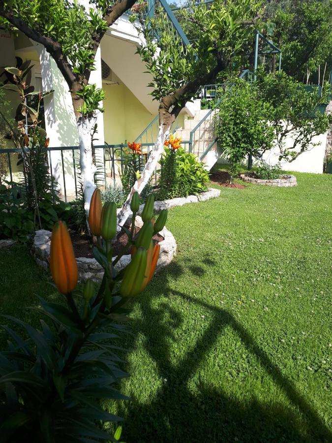 Apartments Simo Petrovac Zewnętrze zdjęcie