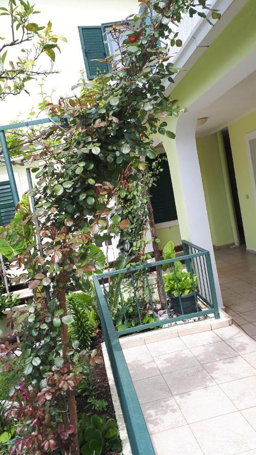 Apartments Simo Petrovac Zewnętrze zdjęcie