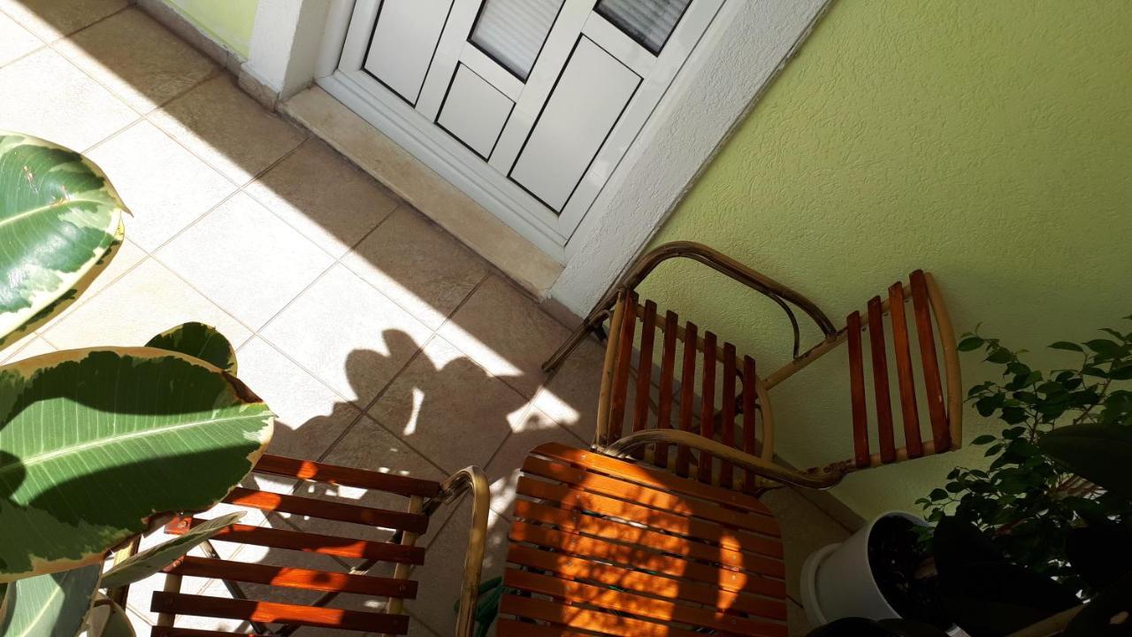 Apartments Simo Petrovac Zewnętrze zdjęcie